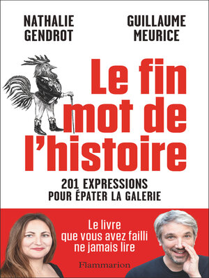 cover image of Le fin mot de l'histoire. 201 expressions pour épater la galerie